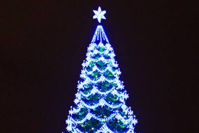 В новогоднюю ночь в Воронеже планируют провести мероприятия около главной елки города