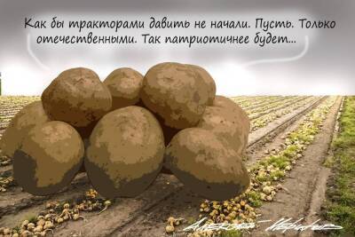 Фермеры начали продавать овощи россиянам на год вперед: так дешевле