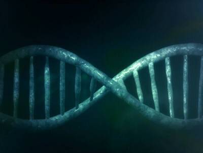Ученые впервые создали искусственную ДНК, которая может развиваться вне клетки