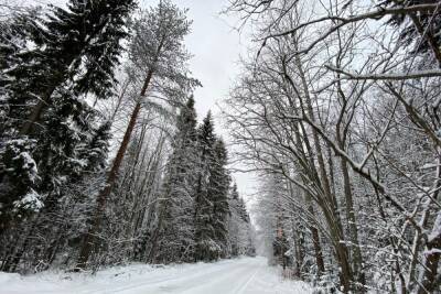 Тульская Госавтоинспекция сообщила об опасности на дорогах из-за снега