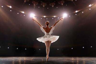 Театр балета Бориса Эйфмана через суд наказал сайт перекупщика