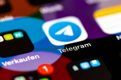 Основатель "Вконтакте" и Telegram Дуров получил гражданство Франции