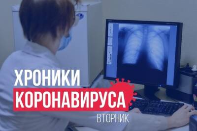 Хроники коронавируса в Тверской области: главное к 23 ноября