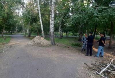 46-летний насильник из Новосибирска получил 7,5 лет колонии