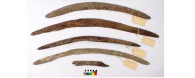 В русле реки Купер-Крик найдены невозвращающиеся бумеранги австралийских аборигенов
