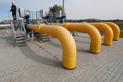 На Украине назвали главного импортера газа в страну