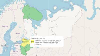 «Желтый» уровень погодной опасности накроет Петербург на полтора дня с 24 ноября