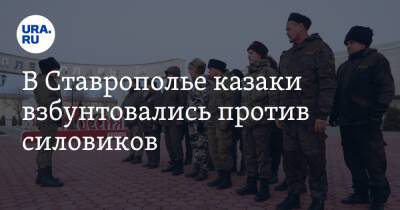В Ставрополье казаки взбунтовались против силовиков
