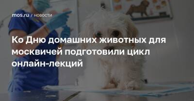 Ко Дню домашних животных для москвичей подготовили цикл онлайн-лекций