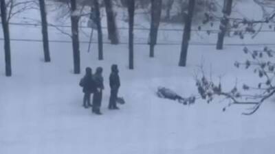 Занесенное снегом тело пожилой женщины нашли в Биробиджане