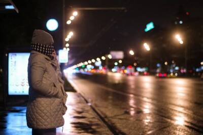 Прошедшая ночь стала самой холодной в Москве с начала осени