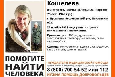 В Пензенской области ведутся поиски без вести пропавшей 75-летней женщины