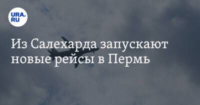 Из Салехарда запускают новые рейсы в Пермь