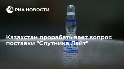 Казахстан ведет переговоры о поставках российской вакцины от коронавируса "Спутник Лайт"
