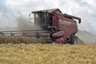 Невзирая на погоду: сбор зерновых в России превысил 125 млн тонн