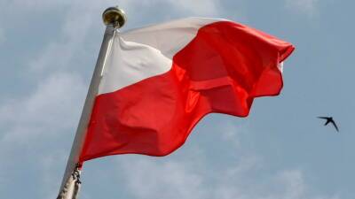 В Польше заявили о готовности к переговорам с Россией по ситуации на границе с Белоруссией