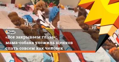 «Все закрываем глаза»: мама-собака уложила щенков спать совсем как человек