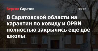 В Саратовской области на карантин по ковиду и ОРВИ полностью закрылись еще две школы