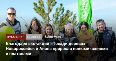 Благодаря эко-акции «Посади дерево» Новороссийск и Анапа приросли новыми ясенями и платанами