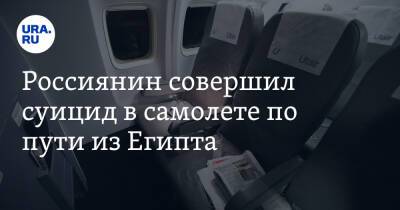 Россиянин совершил суицид в самолете по пути из Египта