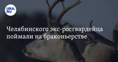 Челябинского экс-росгвардейца поймали на браконьерстве. Источник