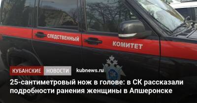 25-сантиметровый нож в голове: в СК рассказали подробности ранения женщины в Апшеронске
