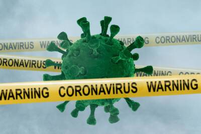 В Новгородской области коронавирусом заболели 330 человек