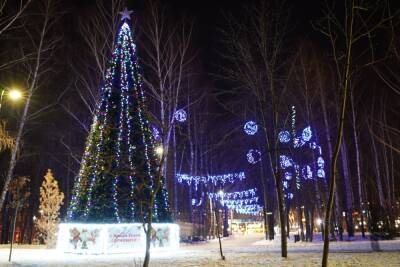 Новогодние елки поставят в благоустроенных скверах в Сормове