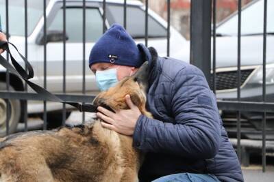 Тамбовские пожарные спасли и вернули потерявшуюся собаку её хозяину