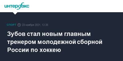 Зубов стал новым главным тренером молодежной сборной России по хоккею