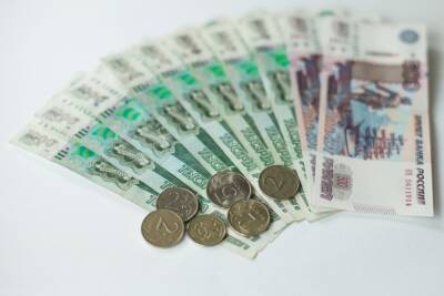 В Госдуме РФ предложили заложить в бюджет средства на базовый доход в 10 тысяч рублей