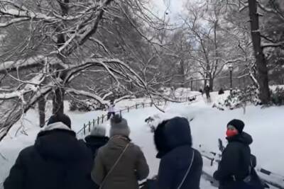Вазир Мартазинов - Украинцев ждут морозы до -20: синоптик выдала прогноз, какими будут декабрь и январь - politeka.net - Украина
