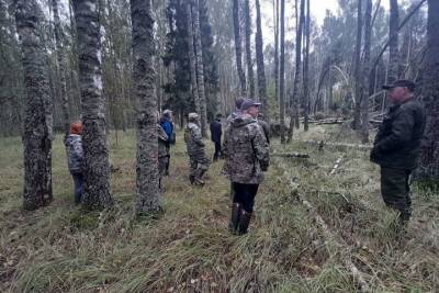 Специалисты из Твери помогли расчистить леса в Ярославской области