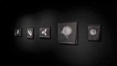 Выставка New Elements пригласила на онлайн-встречи с художниками