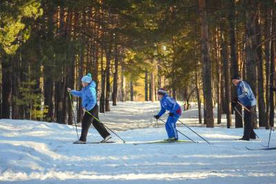 Активисты попросили помочь губернатора Ленобласти восстановить лыжную трассу в Выборге