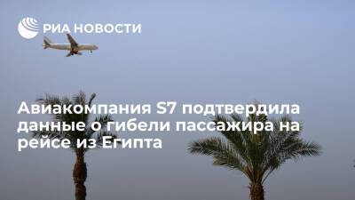 Тело пассажира, покончившего с собой на рейсе из Египта в Самару, доставили в Россию