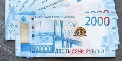 Более половины россиян брали микрозаймы до зарплаты