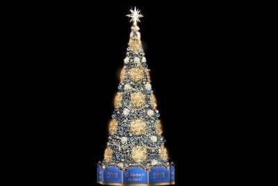 В Евпатории установят 11-метровую новогоднюю елку