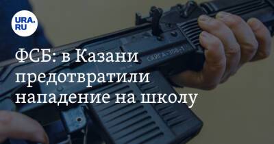 ФСБ: в Казани предотвратили нападение на школу. Видео