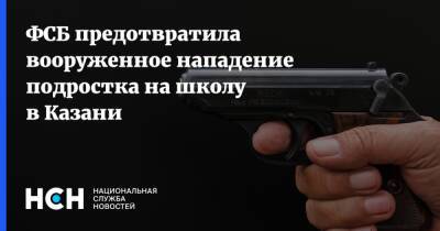 ФСБ предотвратила вооруженное нападение подростка на школу в Казани