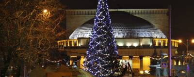В трех новых местах Новосибирска появятся новогодние ели