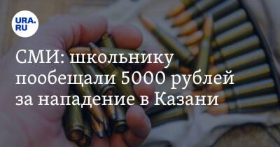 СМИ: школьнику пообещали 5000 рублей за нападение в Казани