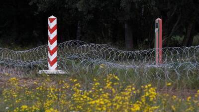 В Белоруссии сообщили о применении Польшей взрыв-пакетов против мигрантов