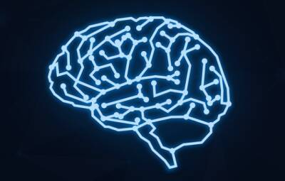 Ученые: Шизофрения может быть вызвана изменениями в структуре коры мозга