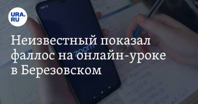 Неизвестный показал фаллос на онлайн-уроке в Березовском