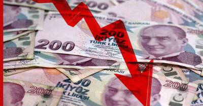 Курс турецкой лиры обвалился до минимума за последние 20 лет