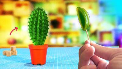 Как кактус превратить в конфеты: Эксперименты
