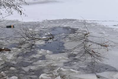 Пенсионерка провалилась под лед и утонула в пруду под Йошкар-Олой