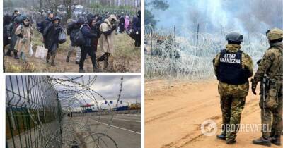 Мигранты пытались прорвать границу Беларуси с Польшей – фото и последние новости