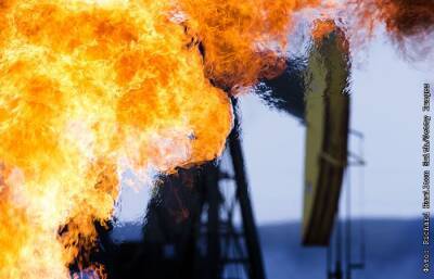 "Лукойл" обнаружил нефть на Блоке 12 в Мексике - interfax.ru - Москва - Мексика - county Hamilton